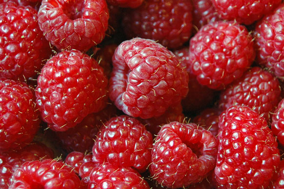 red raspberries - macro photo